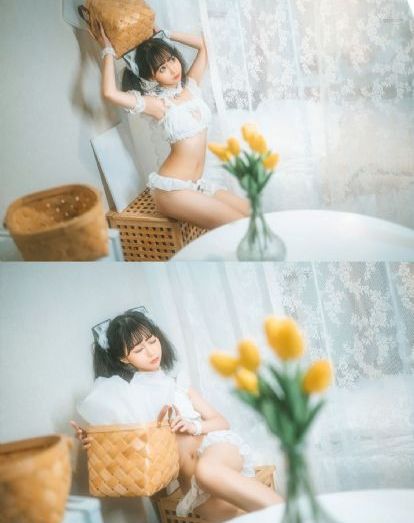 黄石第七季全集免费观看