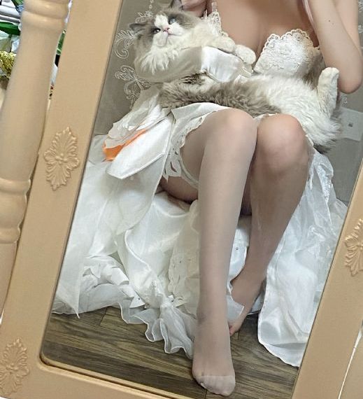 长相思第二季 电视剧