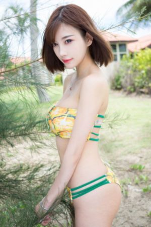 法证先锋6电视剧免费观看版高清