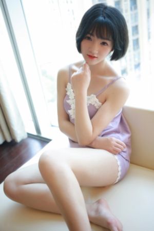 文豪野犬剧场版